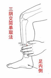 點(diǎn)擊將在新窗口查看全圖 艾灸療法治療婦科病的基本穴位圖解