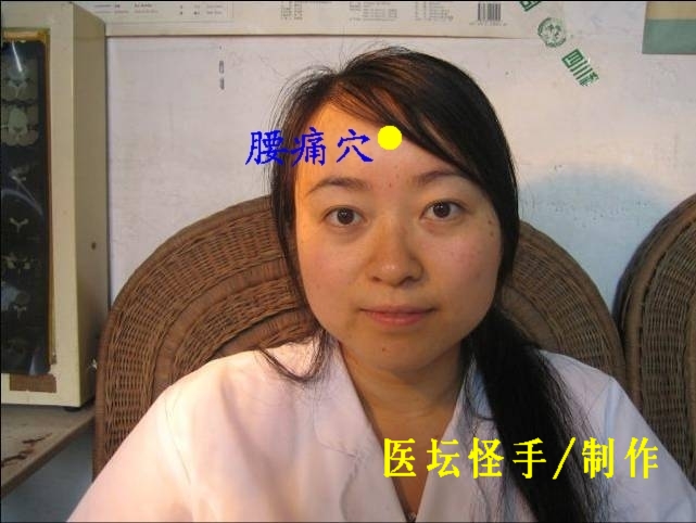 王文遠平衡針灸穴位圖 - 3396815 - 3396815博愛(ài)