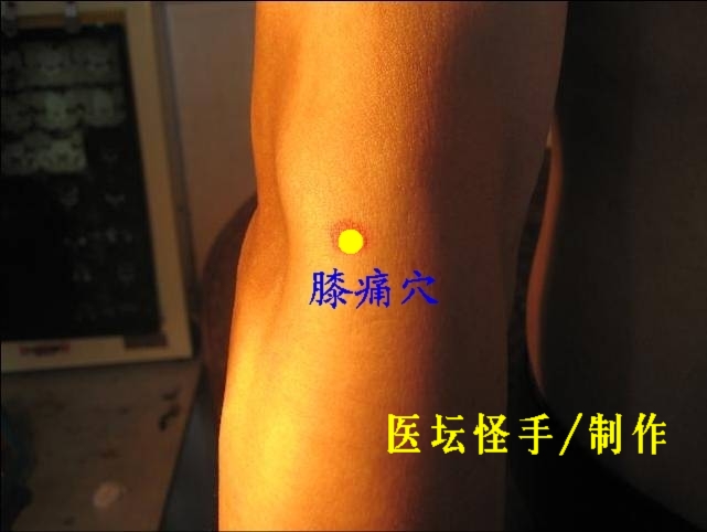 王文遠平衡針灸穴位圖 - 3396815 - 3396815博愛(ài)