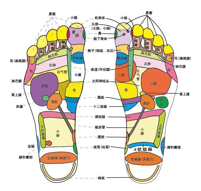 點(diǎn)擊將在新窗口查看全圖